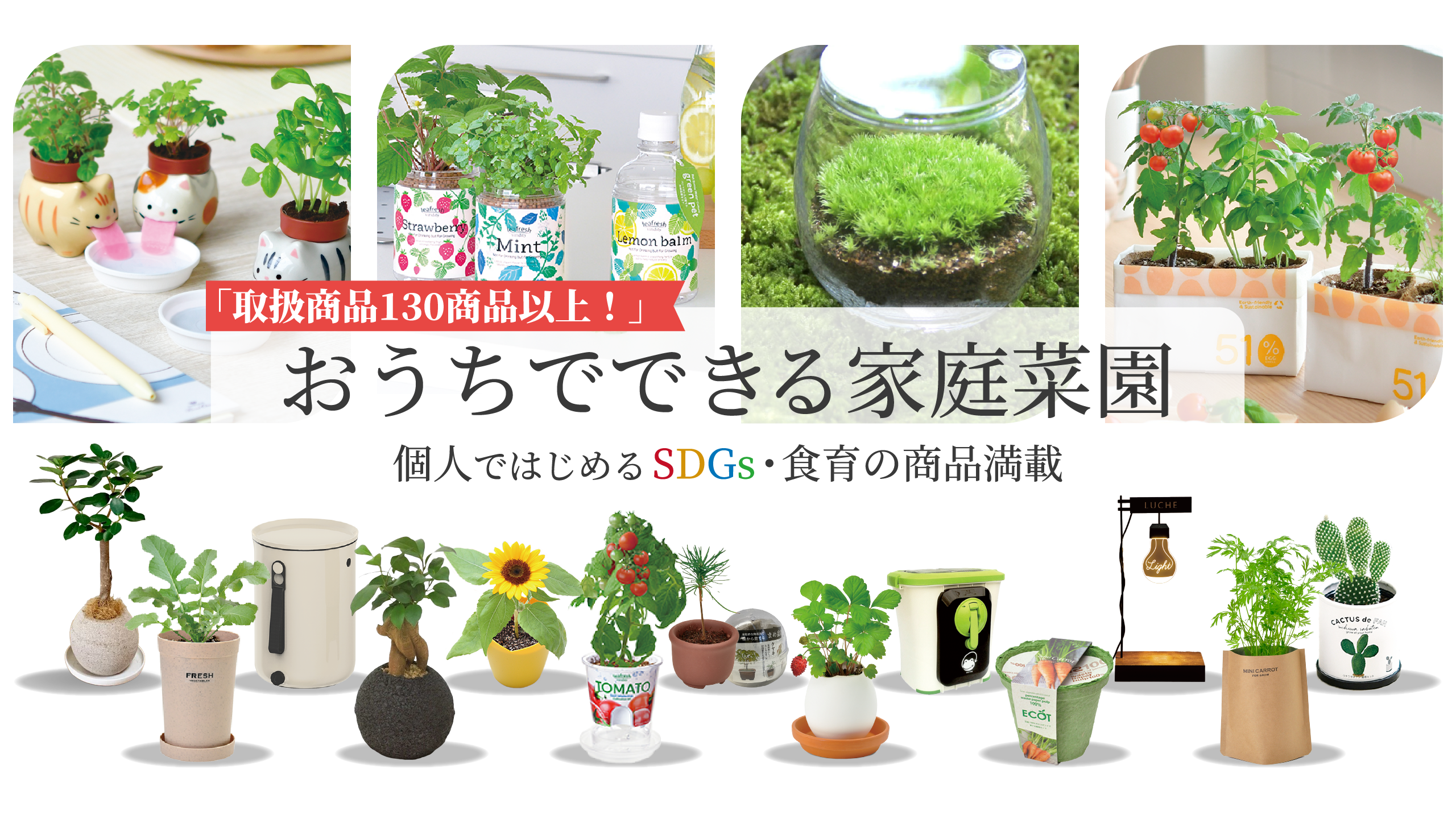 タネペラのTOP画像